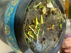 -烤肉宛饭庄(北新桥店)