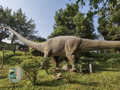 -自贡恐龙博物馆