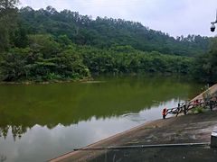 -滴水岩森林公园