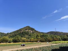 -八卦田遗址公园