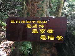 -七仙岭温泉国家森林公园