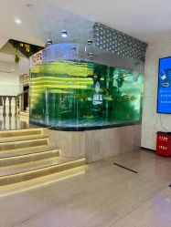 -五洲金行FIDIMO(五洲黄金大厦店)