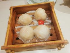 悦满楼虾饺皇-悦满楼·西关名点·湛江名菜(航空综合大厦店)