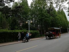 -日照海滨国家森林公园