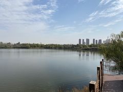 -西安浐灞国家湿地公园