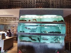 -君悦酒店·1881·北京烤鸭