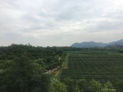 -北京张裕爱斐堡酒庄
