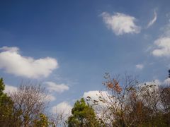 -南京市无想山景区