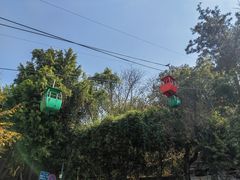 -攀枝花公园