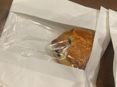 -TD66高山铁皮石斛养生茶饮