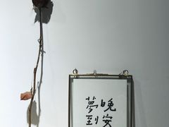 -猫里有甜