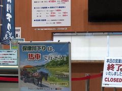 -岚山嵯峨野观光小火车