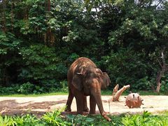 -广州长隆野生动物世界