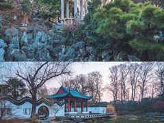 -梅花山(明孝陵内)