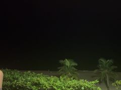 -渔家火锅·海鲜自助餐·演艺(亚龙湾天域酒店)
