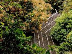 -火炉山森林公园
