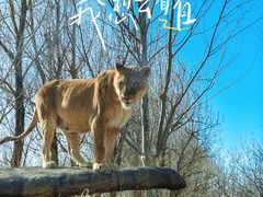 -北京野生动物园