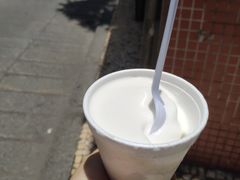 -洪馨椰子