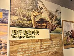 -安徽省地质博物馆