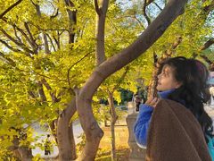 -北陵公园