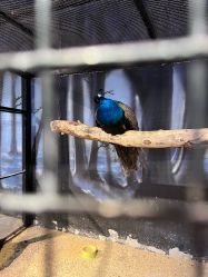 -酷嗒动物文化乐园(cutezoo西溪乐天城店)