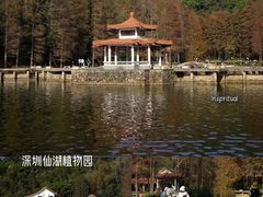 -深圳仙湖植物园