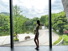 -知美术馆