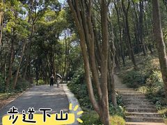 -广州市帽峰山景区