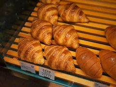 -WHEN PIGS FLY当猪飞