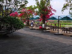 -比顿咖啡(和顺古镇店)