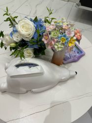 -欧扬医疗美容
