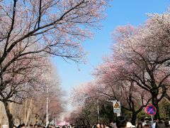 -吉林大学(南岭校区)