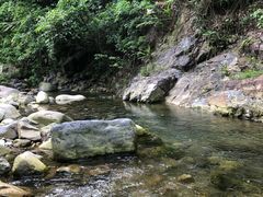 -羚羊峡古栈道森林公园