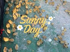 -前小桔亲子创意农场·草莓采摘·露营烧烤