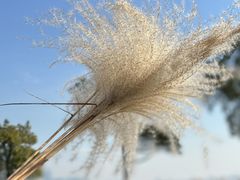 -东山风景区(洞庭东山)