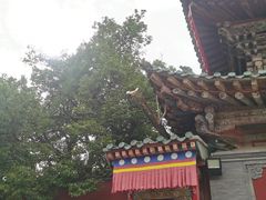 -塔尔寺