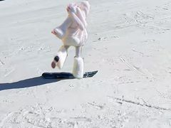 -东北亚滑雪场