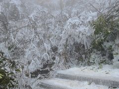 -金子山原生态旅游风景区