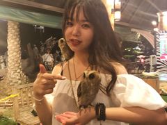 -清迈夜间动物园