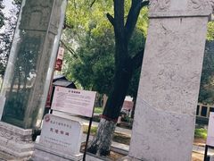 -赵州桥景区