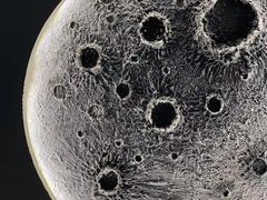 -BABANA烧烤·龙虾·海鲜