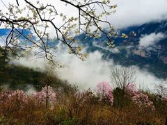 -九皇山景区