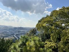 -灵岩山风景区