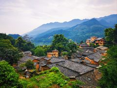 -杨家堂村