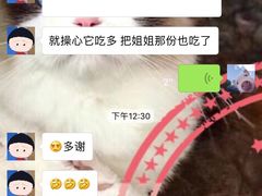 -Bastet sally猫舍购宠(静安店)