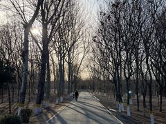 -东升八家郊野公园