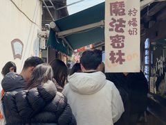 -猫的魔法密林(衣裳街店)