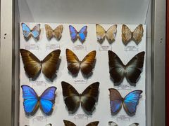 -吉林省自然博物馆