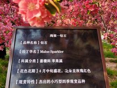 -海棠花溪(元大都城垣遗址公园)