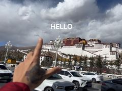 -布达拉宫